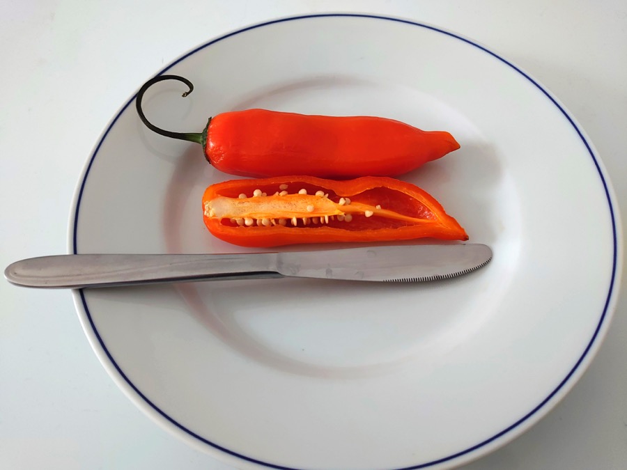 Ají Amarillo pepper