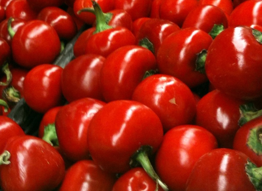 Cherry Pepper pepper