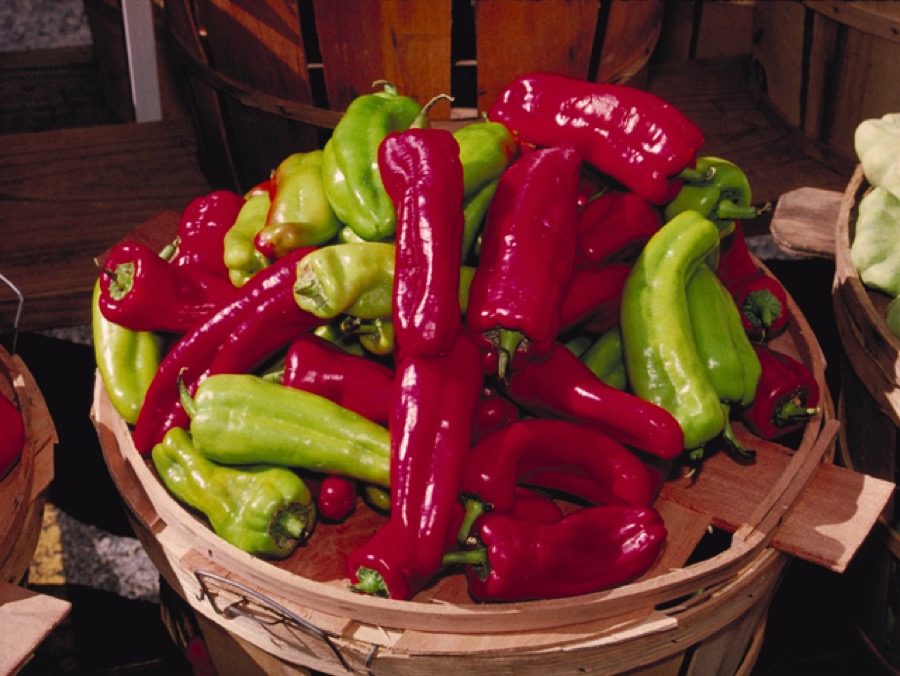 Cubanelle pepper