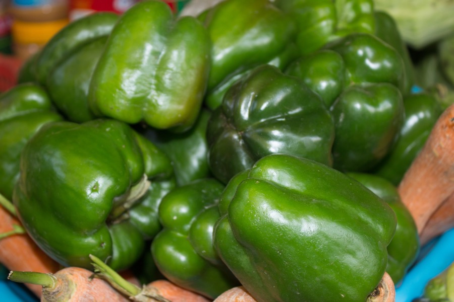 Green Bell Pepper pepper
