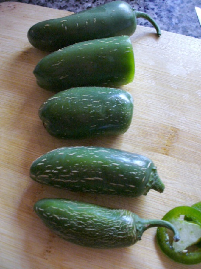 Jalapeño pepper